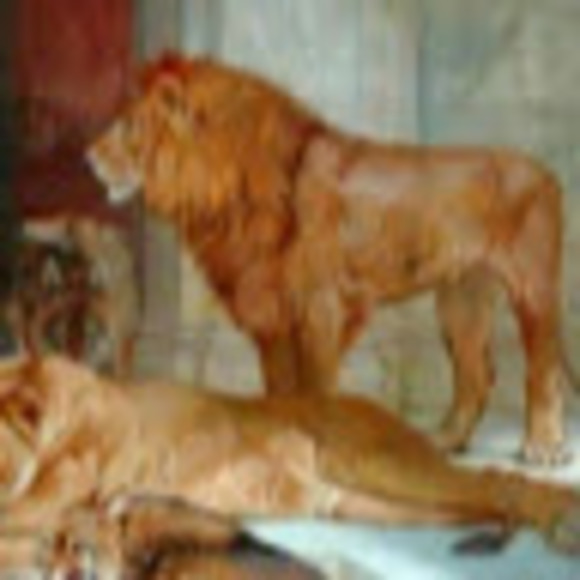 Meet your Posher, Todd - Picture 1 of 1